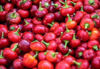 Heap of colorful chili pepper paprika