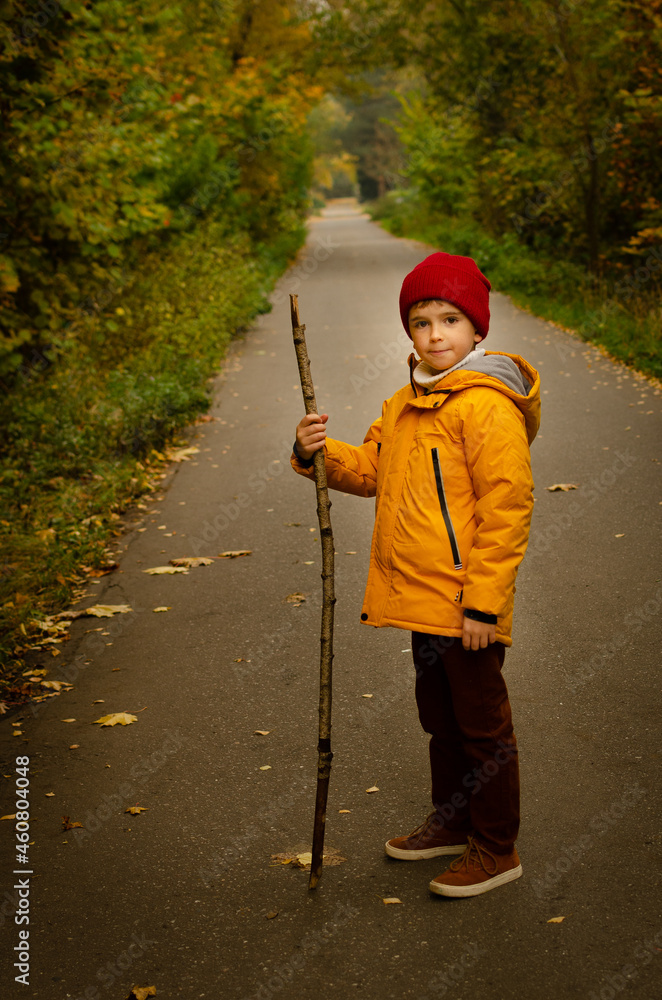 Wall mural a boy in the park in the fall plays with leaves