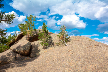 Beautiful nature of rocky mountains. Unusual landscape of nature. Trees among the rocks against the sky with clouds.