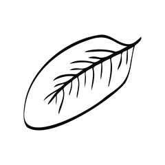 Vector illustration. Linear drawing of a branch with leaves. Botany element. Autumn motive.