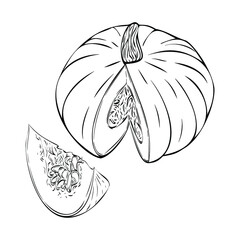 Pumpkin. Vector illustration of vegetables. Food logo. Pumpkin icon. Elements for autumn decorative design. Pumpkin cut with seeds, cut pumpkin slice, realistic image.