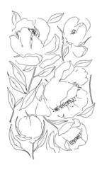 Botanical wall art . Vector peony flower isolated. Element for design. Hand-drawn contour lines and strokes.