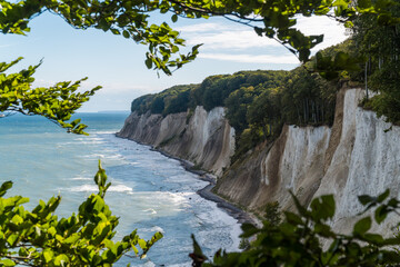 Chalk cliff coast of Jasmund National Park on the German island Ruegen with beautiful lit leaves in...