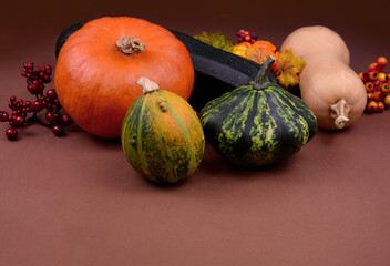 Different types of pumpkins and squash autumn still life frame stock images. Seasonal autumn fruits and vegetables isolated on a brown background with copy space for text. Beautiful autumn decoration