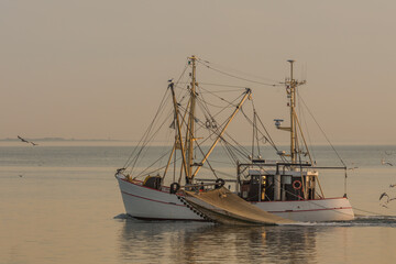 Fototapeta premium Fischkutter beim Fischen mit Schleppnetz auf der Nordsee, Büsum, Nationalpark Schleswig-Holsteinisches Wattenmeer, Schleswig-Holstein, Deutschland 