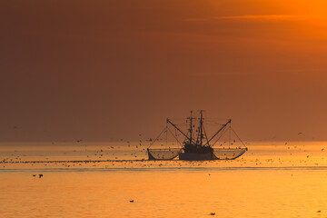 Fischkutter beim Fischen mit Schleppnetz auf der Nordsee bei Sonnenuntergang, Büsum, Nationalpark...