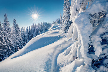 Beautiful winter scenery. Breathtaking outdoor scene of mountain valley. Fir trees covered by fresh...