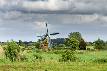 Traditionelle Windmühle auf einem Feld in ländlicher Umgebung, Ostfriesland, Niedersachsen,...