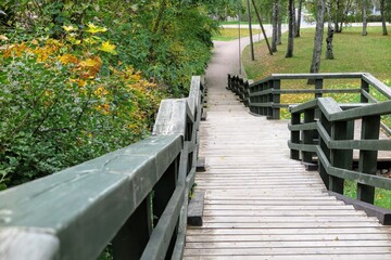 Fototapeta premium boardwalk in the park