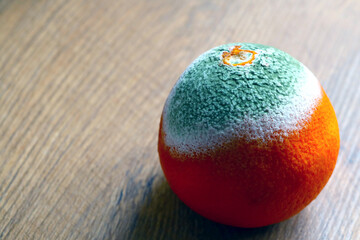 Spoiled orange on the table, food, fruit