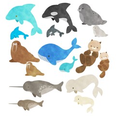 海の哺乳類 イラストセット