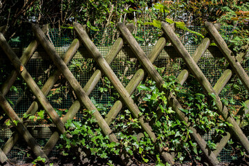 wooden fence