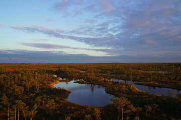 autumn landscape with lake