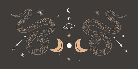 abstract illustration of a silhouette of the animal of the wild world. sacred geometry and celestial space bodies. bogemical of the sun and moon