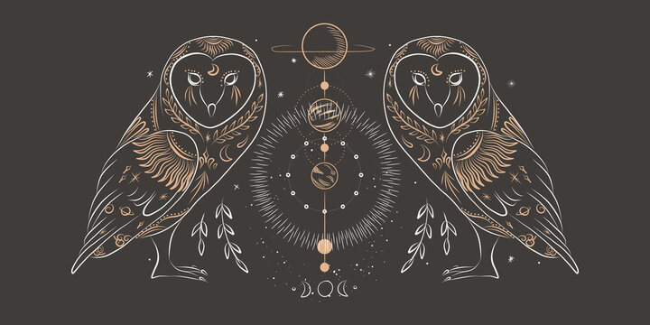 abstract illustration of a silhouette of the animal of the wild world. sacred geometry and celestial space bodies. bogemical of the sun and moon