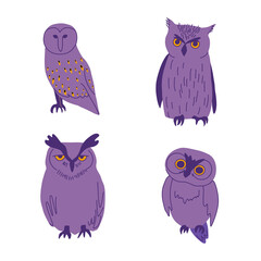Various owls vector illustrations. Hand drawn cartoon birds. Wisdom symbol and Halloween character.