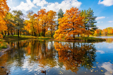 Trees reflected in water, autumn foliage in Catherine park, Pushkin (Tsarskoe Selo), Saint Petersburg, Russia