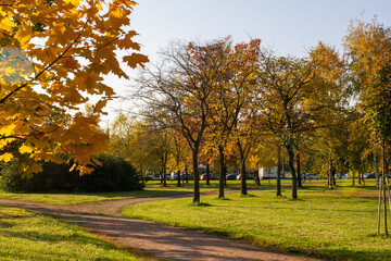 road in the city park. Autumn park on a sunny day.