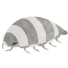 ダイオウグソクムシ イラスト