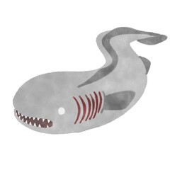 ラブカ イラスト