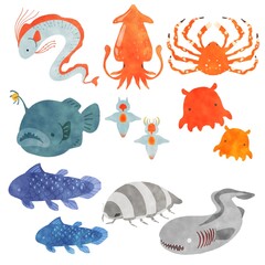 深海生物イラストセット