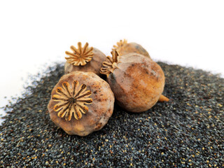 Poppy seeds and heads