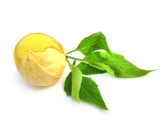ripe physalis isolated on white background
