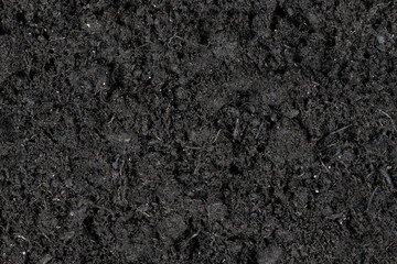 Black earth texture background. soil texture. Black land for plant background. Top view.