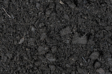 Black earth texture background. soil texture. Black land for plant background. Top view.