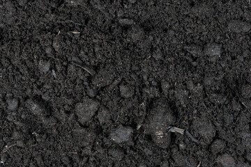 Black earth texture background. soil texture. Black land for plant background. Top view.
