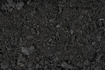 Black earth texture background. soil texture. Black land for plant background. Top view.