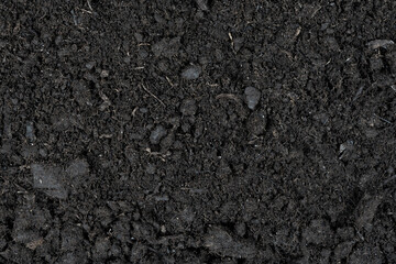 Black earth texture background. soil texture. Black land for plant background. Top view.