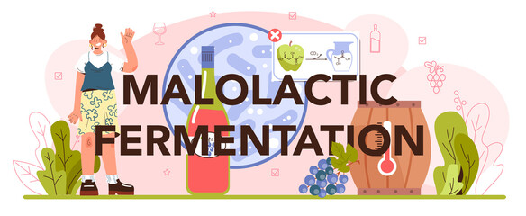 Malolactic fermentation typographic header. Wine production. Alcohol drink