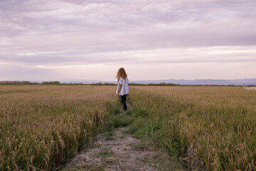 Woman in a shirt walking through a rice paddy at sunset
