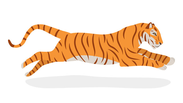 Tiger jumping. Isolated on a white background. Side view. The symbol of 2022. Chinese New Year. Vector. Cartoon style