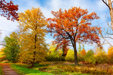 Fototapeta premium Babolovsky park in autumn, Pushkin (Tsarskoe Selo), Saint Petersburg, Russia