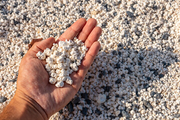 Detail of the stones of Popcorn Beach near the town of Corralejo, north of the island of Fuerteventura, Canary Islands. Spain
