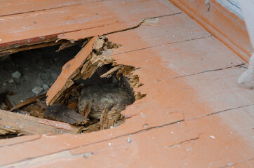Damaged wooden floor of a residential building. Wooden boards ea