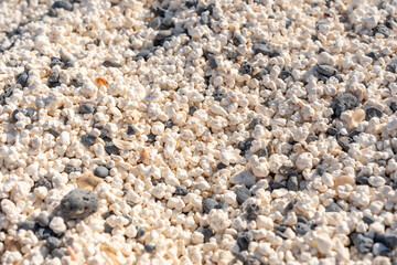 Details of Popcorn Beach near the town of Corralejo, north of the island of Fuerteventura, Canary Islands. Spain