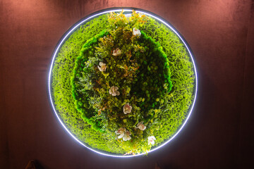 round picture of green decorative moss with LED lighting on the wall.