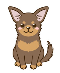 チワワ（チョコタン）