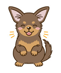 喜ぶチワワ（チョコタン）