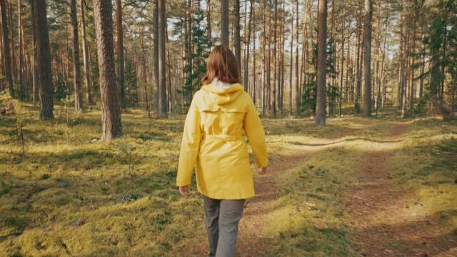 Young Woman Tourist Lady Dressed In Yellow Jacket Of Autumn Forest. Hiker Walking In Fall Mixed Forest In Sunny Day. Active Lifestyle