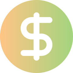 cash icon