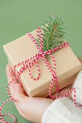 Christmas gift box with twig of Christmas tree in human hands