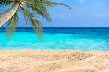 Fototapeta na wymiar white sand and tropical beach.