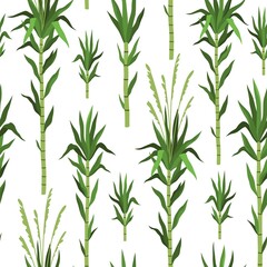 Seamless pattern bamboo tree. Sugarcane plant background, green cane stems isolated, leaves repeat, tropical nature design, vertical branches, decor textile, wrapping paper, vector print