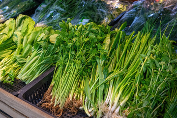 Green fresh herbs on grocery shelf - 460828898