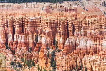 Foto auf Glas Bryce Canyon in Utah in the USA © Fyle