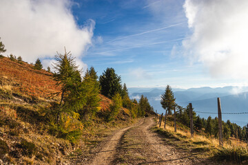 Naklejka premium Wanderweg auf der Millstätter Alpe; Kärnten
